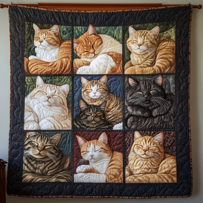 Sleeping Cat Quilted Blanket GFTOAB2404