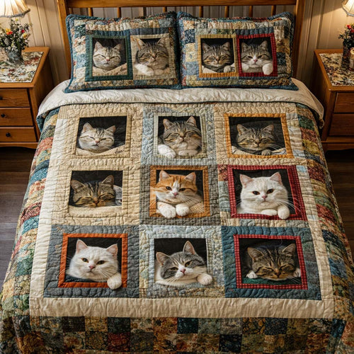 Adorable Cats 3-Piece Quilted Bedding Set GFTOHD13070