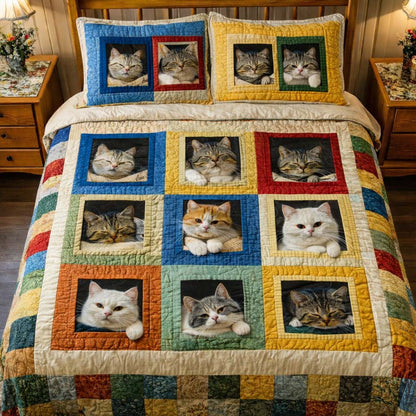Adorable Cats 3-Piece Quilted Bedding Set GFTOHD13071