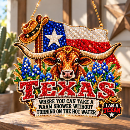 Texas Longhorn Pride DIY Diamond Pearl Suncatcher Ornament Kit GFTOHNL5034