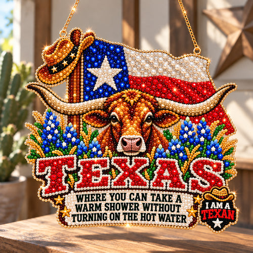 Texas Longhorn Pride DIY Diamond Pearl Suncatcher Ornament Kit GFTOHNL5034