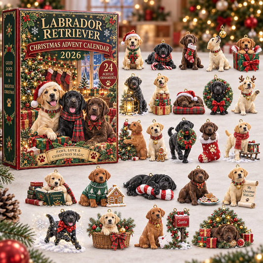 Labrador Retriever Christmas Advent Calendar 2026 GFTOMA14565