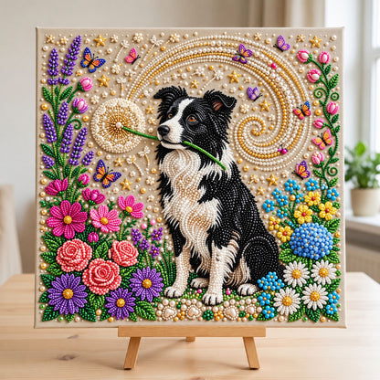 Border Collie DIY Diamond Pearl Art Kit GFTONMU3945