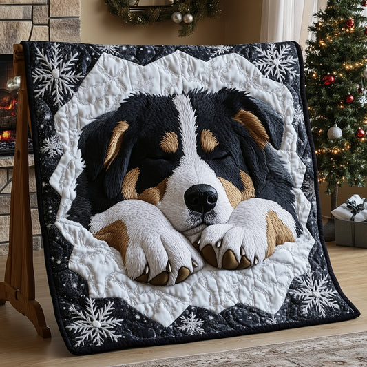 Berner Cozy Nap Quilted Blanket GFTOTP13234