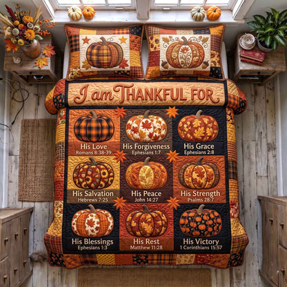 I Am Thankful For 3-Piece Quilted Bedding Set GFTOTP20573