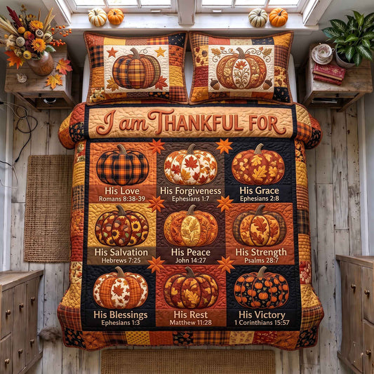 I Am Thankful For 3-Piece Quilted Bedding Set GFTOTP20573