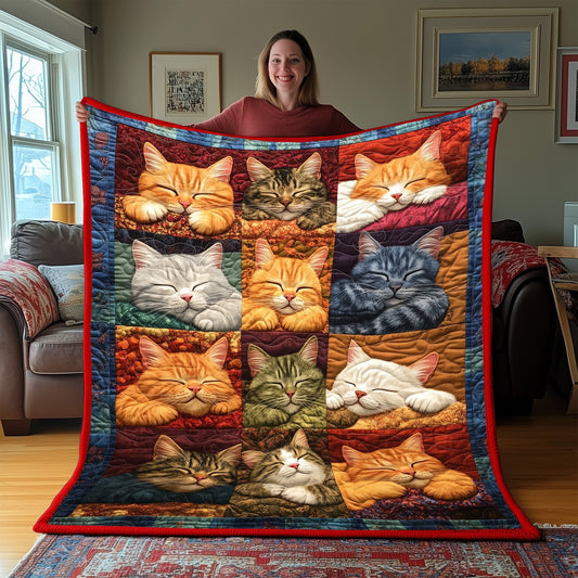 Cozy Catnap Quilted Blanket GFTOTP5675