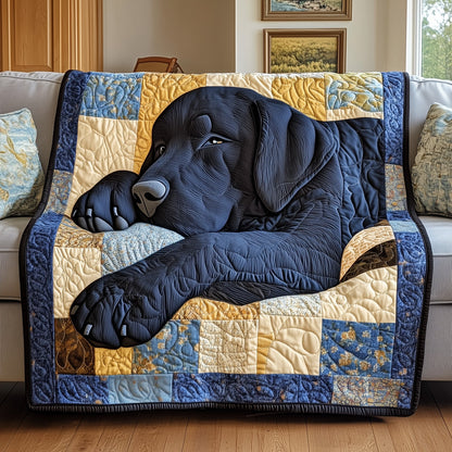 Dreaming Lab Snuggle Quilted Blanket GFTOTP7840